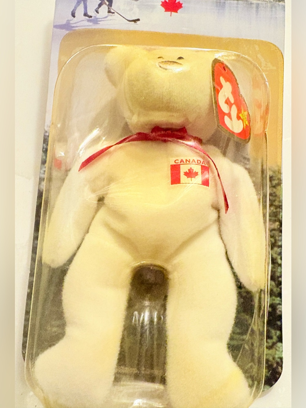 Ty Maple the Bear White Plush with Red Ribbon and Canada Flag